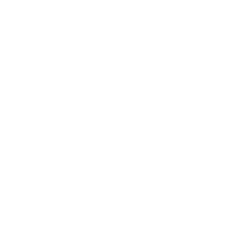 Candidate engagement icon