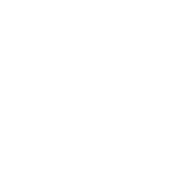 Authority value icon