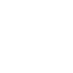 Integrity value icon